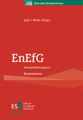 Abbildung: EnEfG - Energieeffizienzgesetz